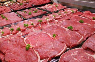 瘦肉精對肉牛的影響